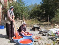 Oltulu kadınların kuşburnu mesaisi